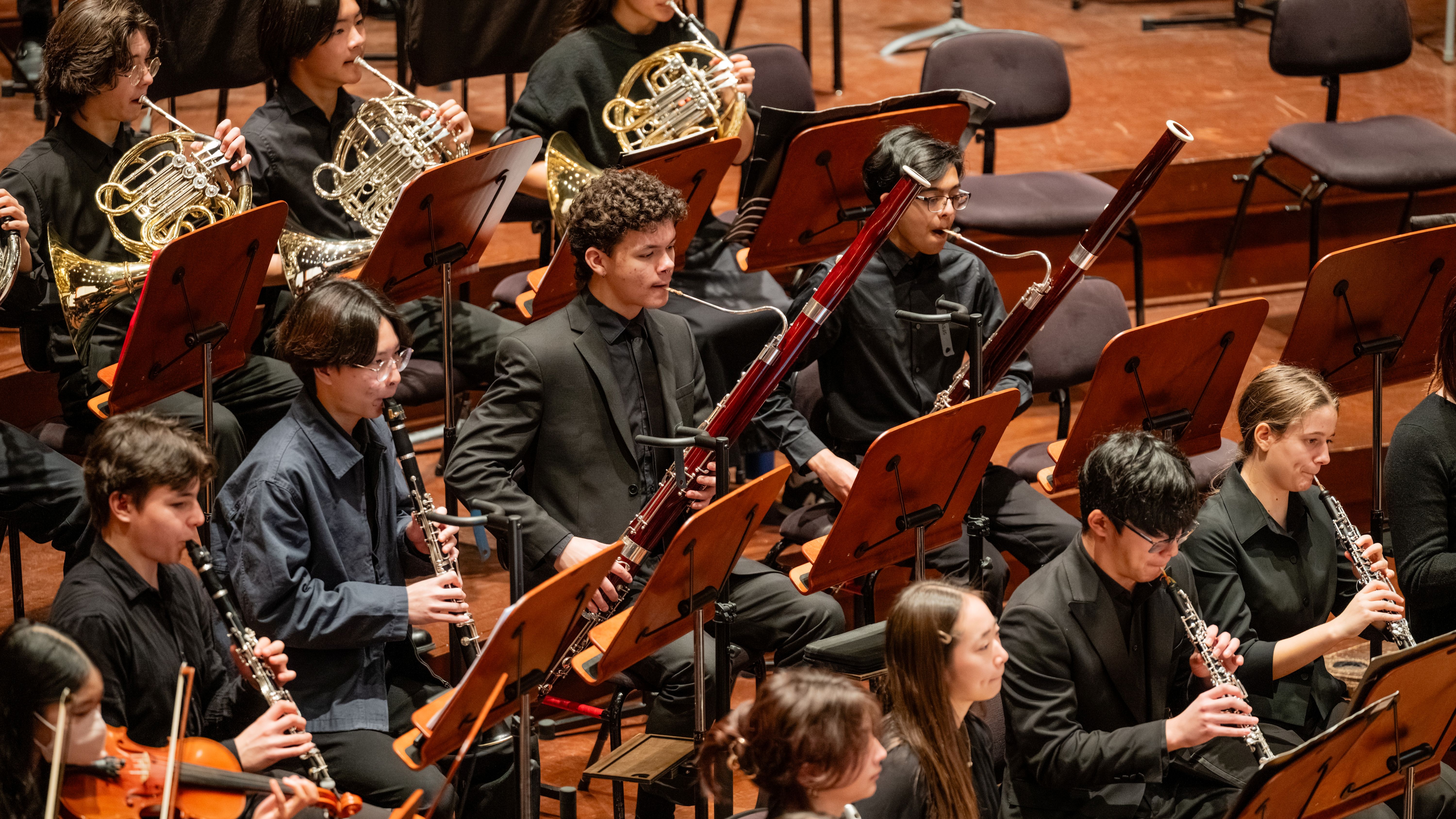 Young People's Symphony Orchestra