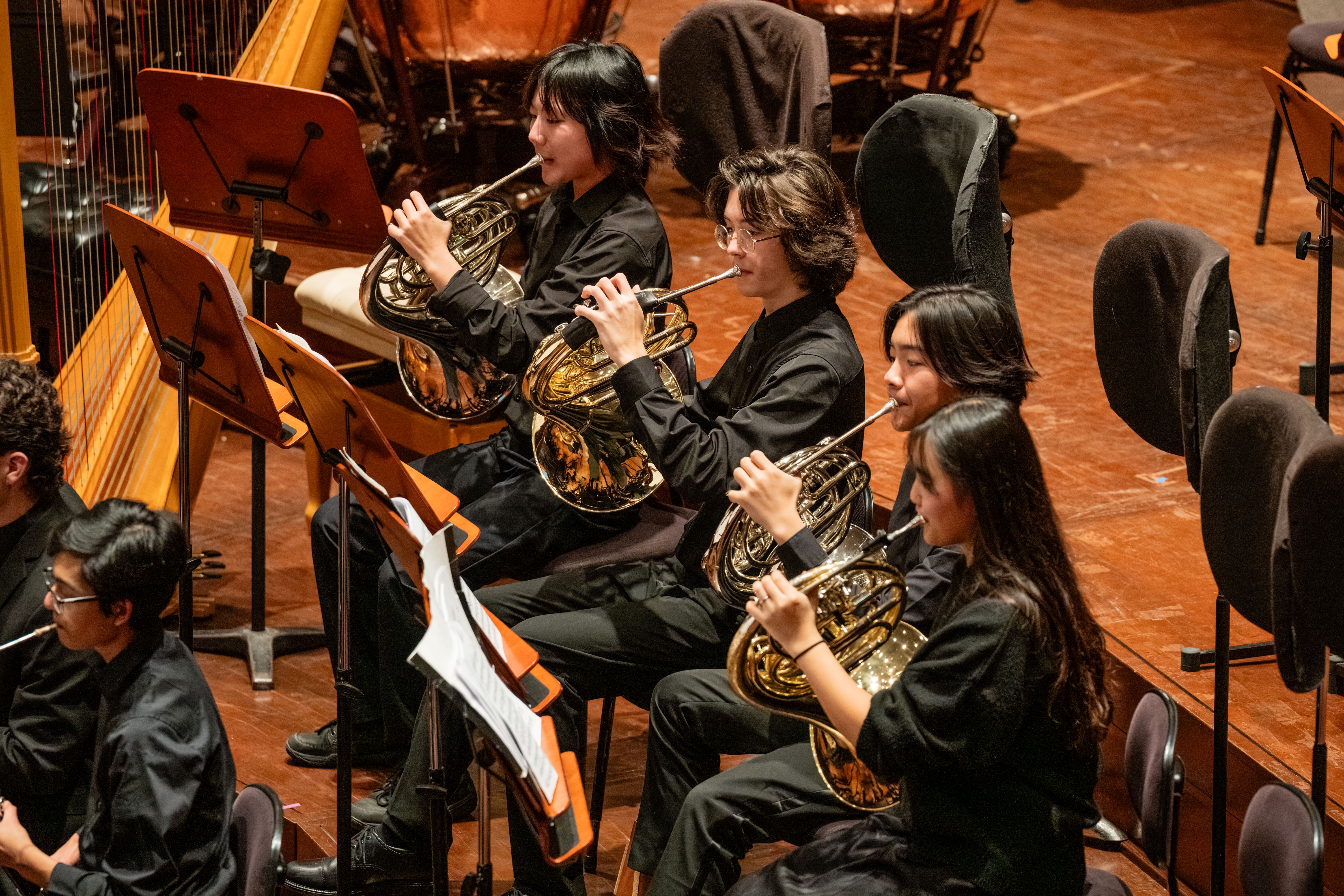 Young People's Symphony Orchestra