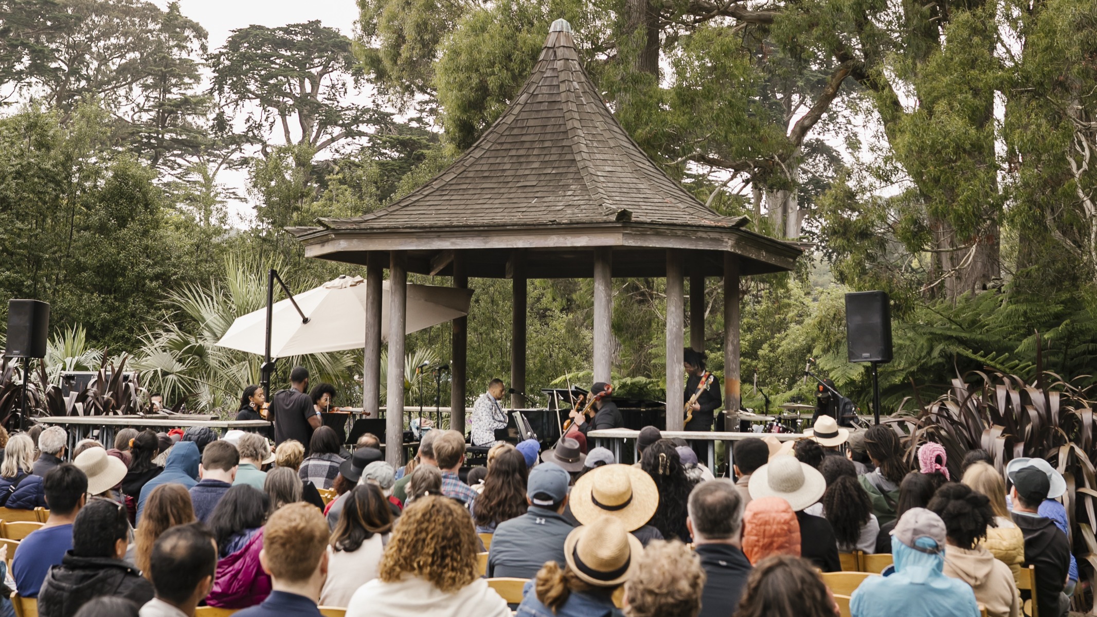 Flower Piano, Kev Choice