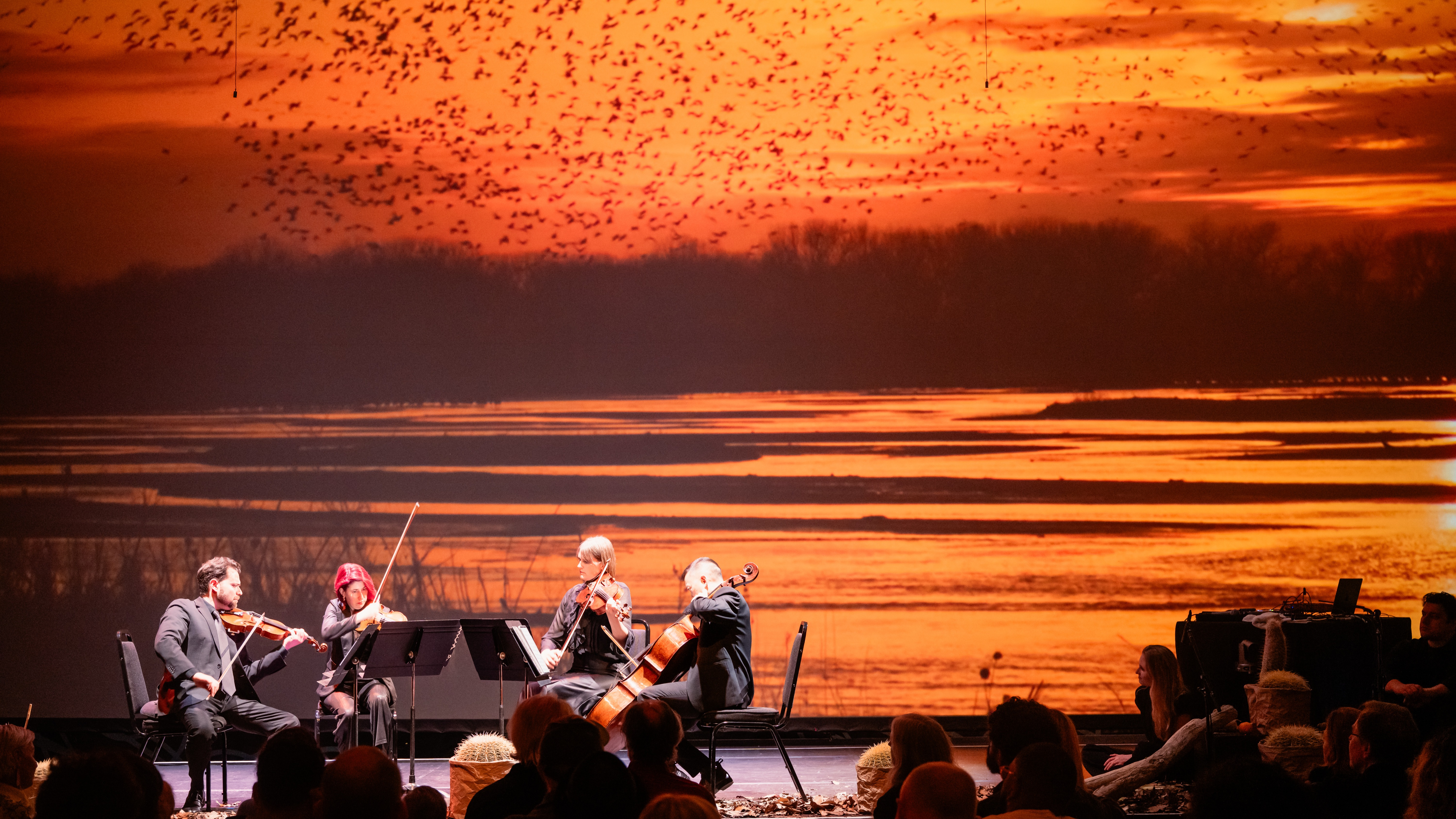 SF Symphony SoundBox: "Urban Forests"