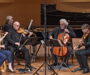 New Hollywood String Quartet