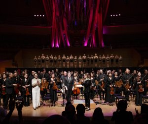 Revolucion diamantina curtain call