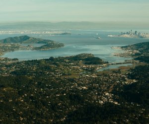 Bay Area