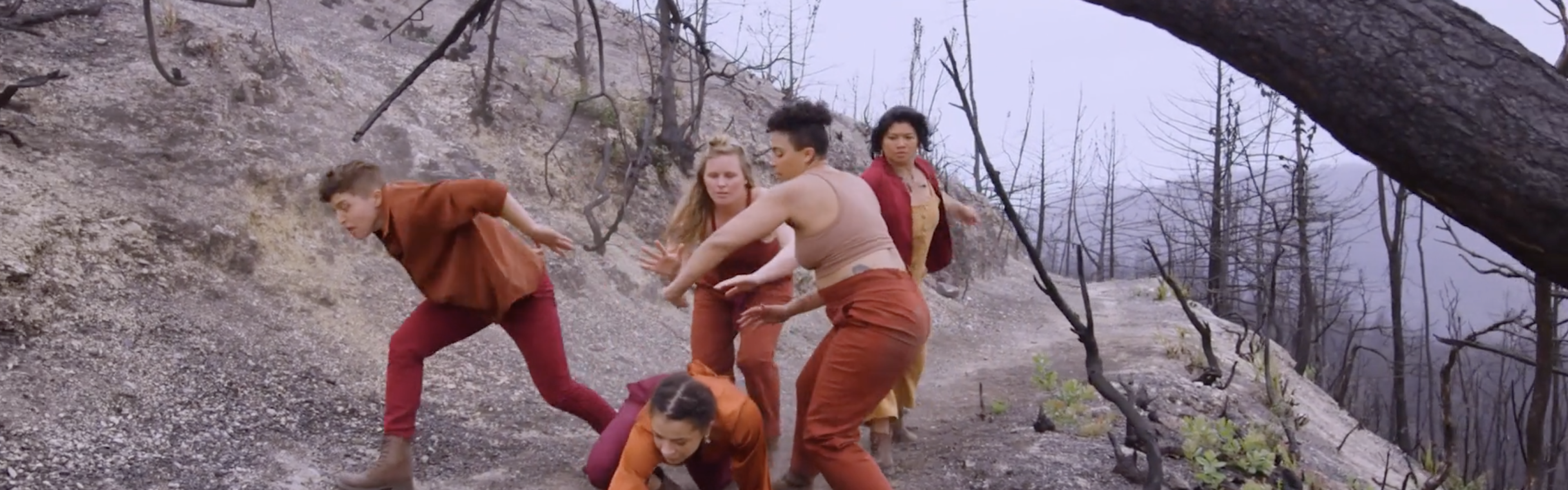 A scene from "Contested Eden"