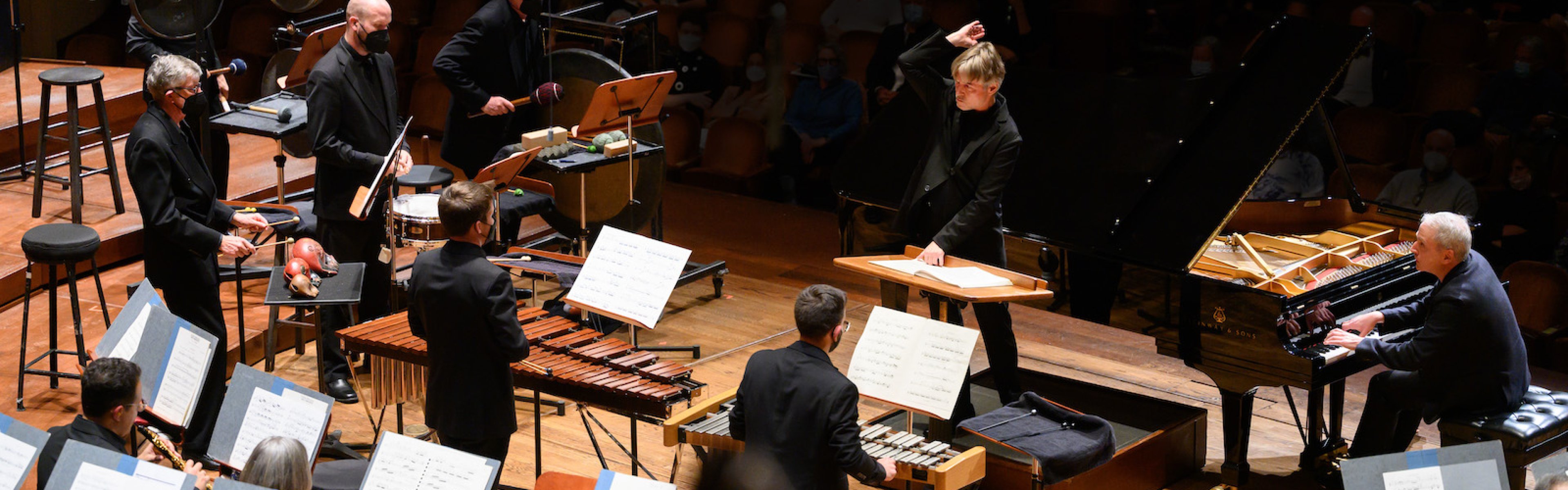 Salonen and SF Symphony - Birds