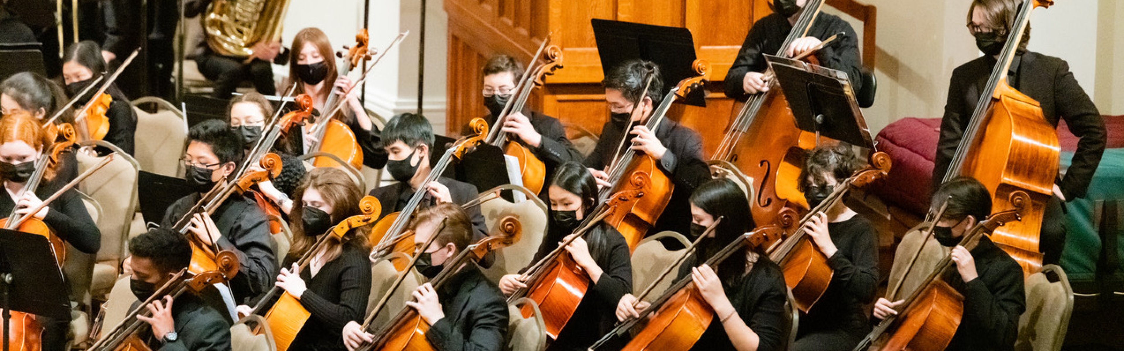 YPSO cellos