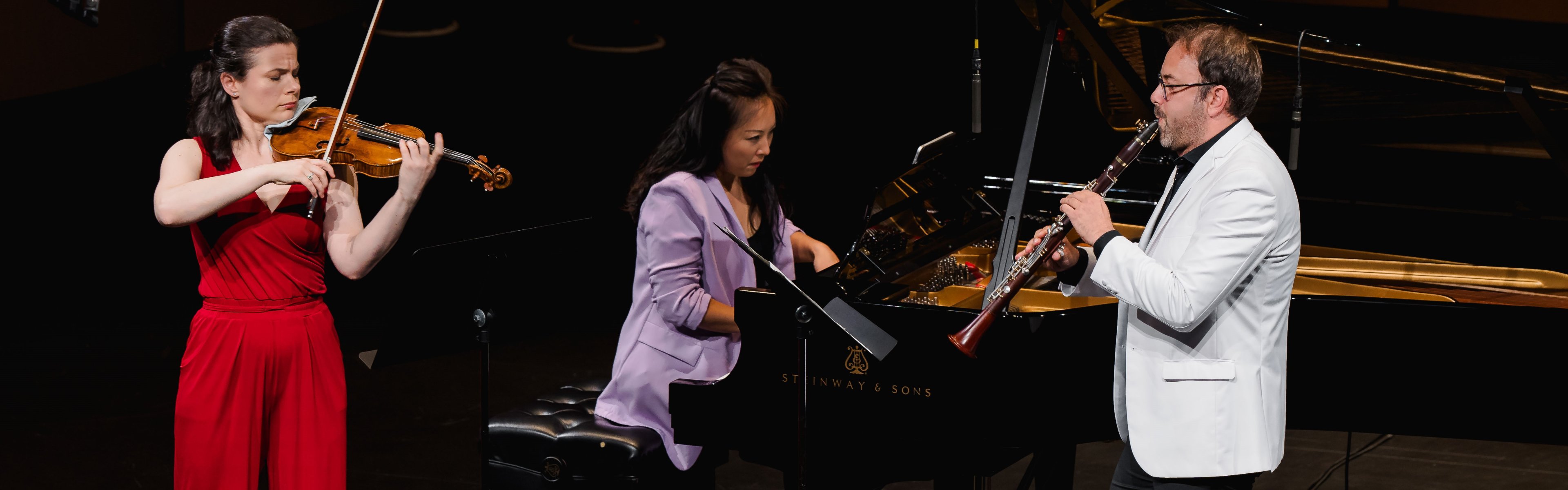 Violin, piano, and clarinet