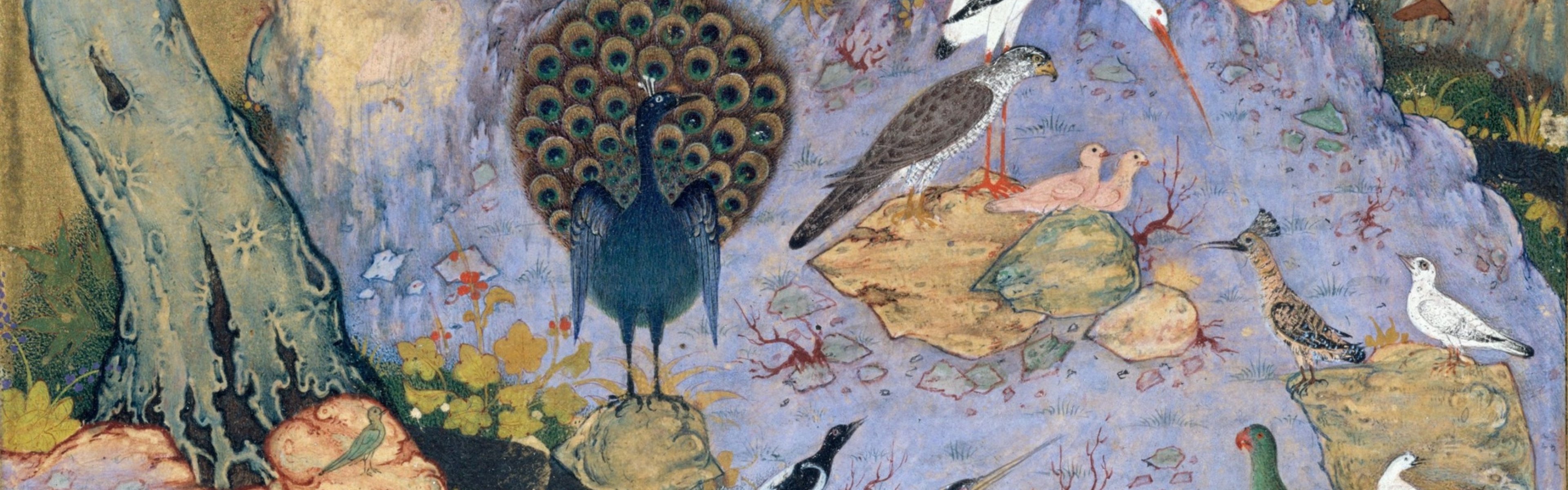The Conference of the Birds