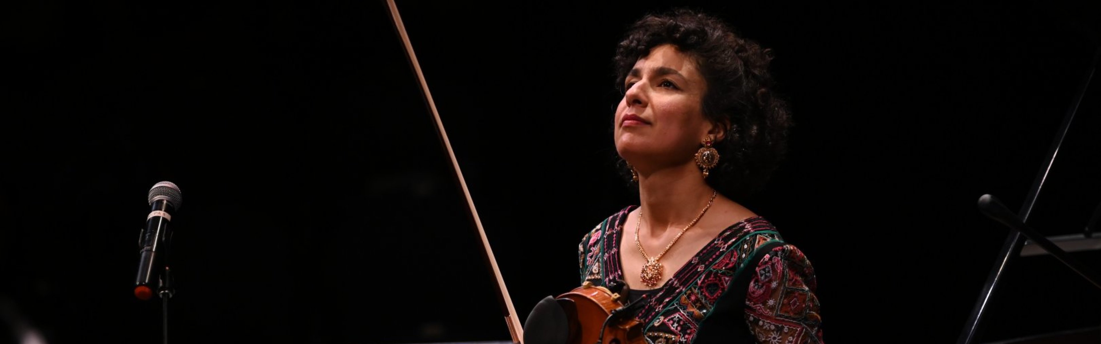 Violinist