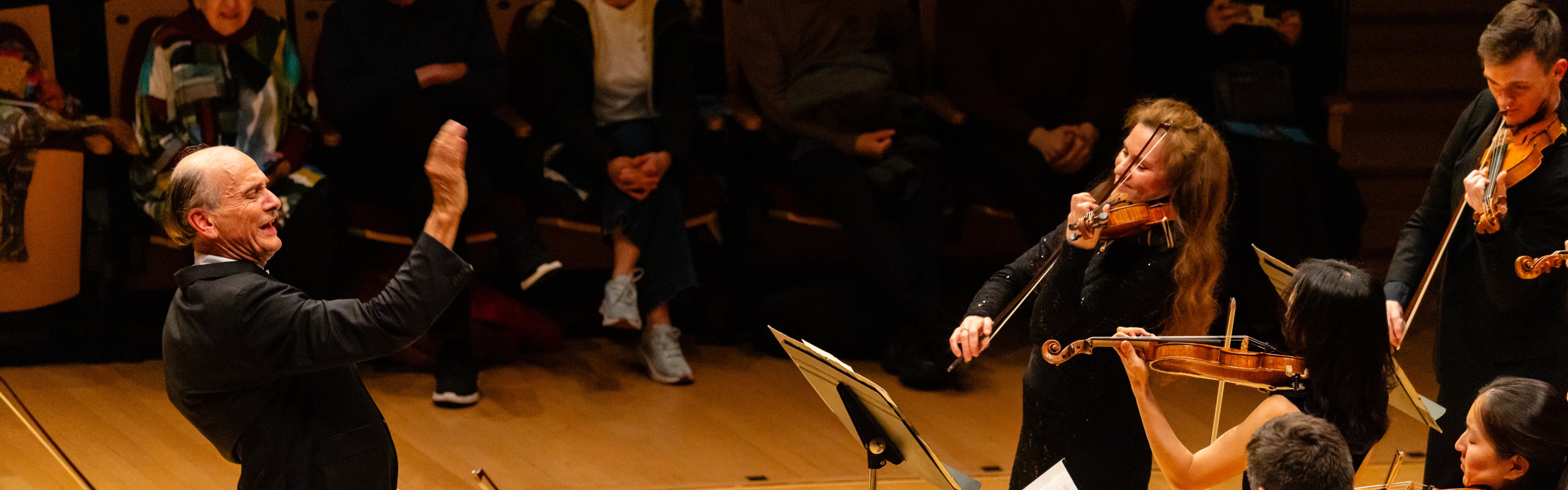 Verbier Festival Chamber Orchestra