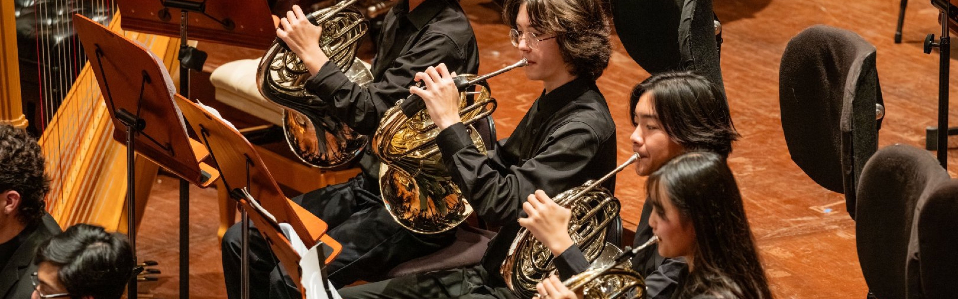 Young People's Symphony Orchestra