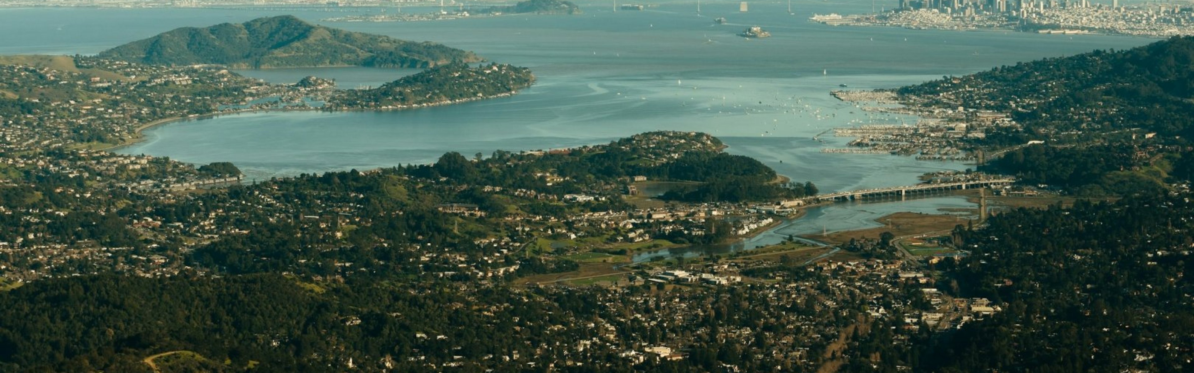 Bay Area