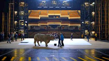 Still1_from_Paris_Opera_header.jpg