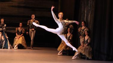 David_Hallberg_Swam_Lake_1.jpg