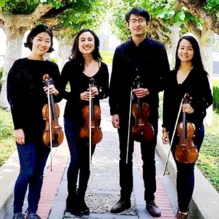 four_violins_december_4.jpg