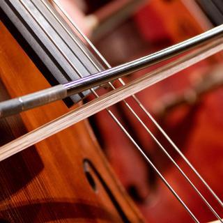 19-20-performance-calendar-bass.jpg