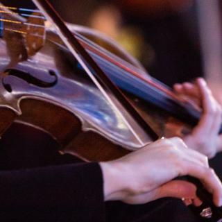19-20-performance-calendar-viola.jpg
