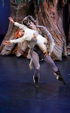 best_-_peter_and_the_wolf_wolf_captures_duck_0471_phot_by_iker_gutierrez_small.jpg