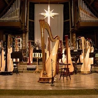 20_harps.jpg
