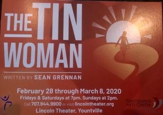 the_tin_woman.jpeg