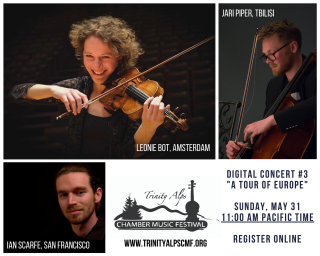 digital_concert_3_photogrid.png