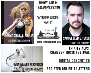 digital_concert_5_photogrid.png