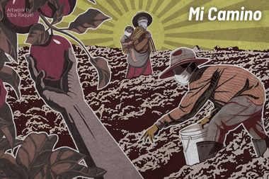 Mi Camino graphic by Elba Raquel