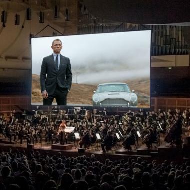 Skyfall in concert