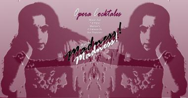 2 mirrored women with the word madness in triplicate between them lean on their elbows staring at the world.