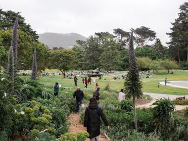 Audience members walk through the SF Botanical