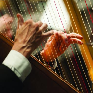 photo of concert harpist's hands