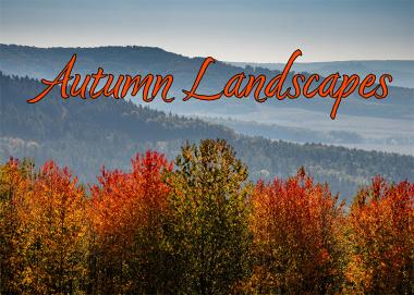 Colorful autumn foliage in front of blue mountains