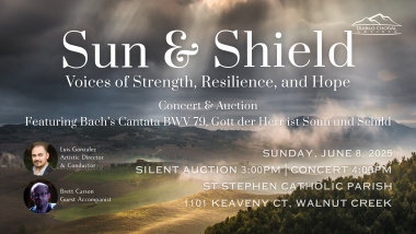 Sun & Shield - Voices of Strength, Resilience, and Hope overlayed on an image of sunlight filtering through clouds over rolling hills of green and yellow fields and wooded areas