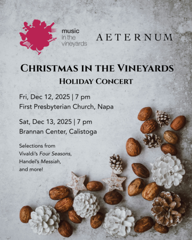 Christmas in the Vineyards Debuts this December in Napa!