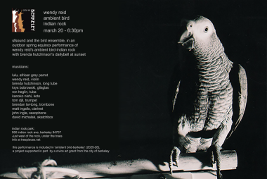 Wendy Reid's Ambient Bird-Indian Rock 2026 with sfSOUND and the bird ensemble