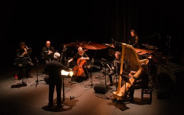Musicians on a dark stage facing the conductor