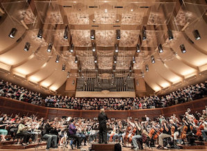 redwood-symphony_0.png