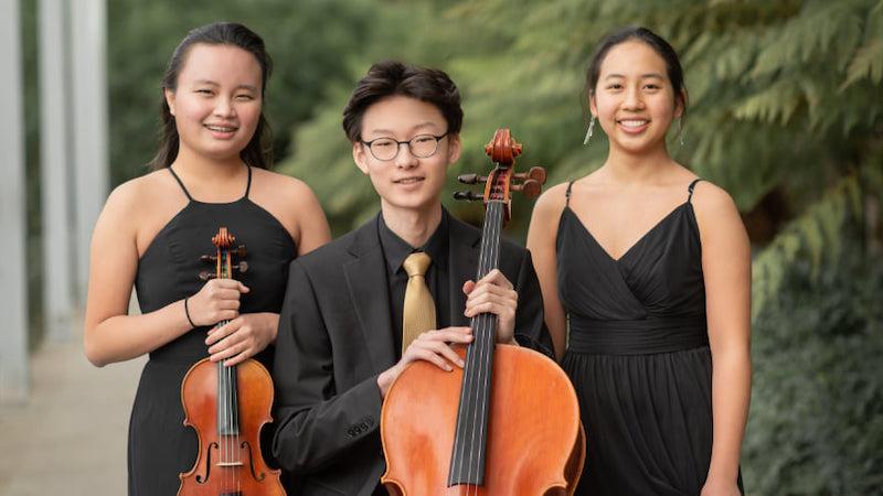 The Aveta Trio