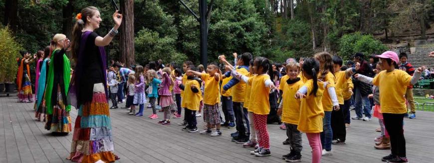 Stern Grove participants