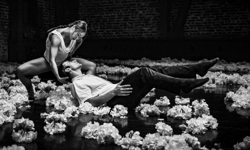 ODC/Dance - "Up for Air/Decameron"