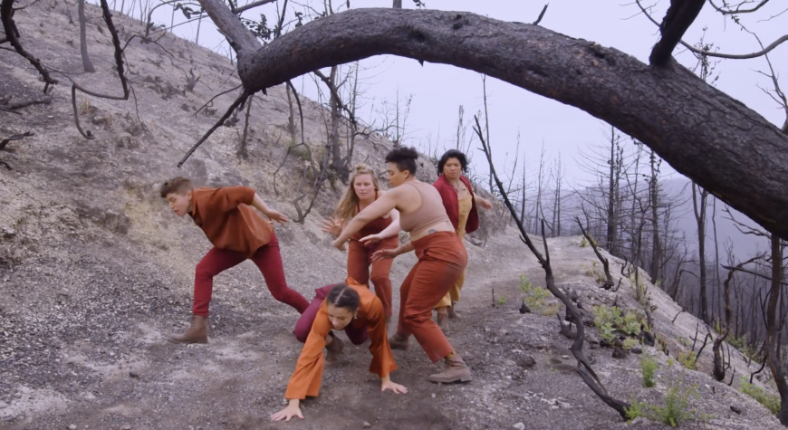A scene from "Contested Eden"