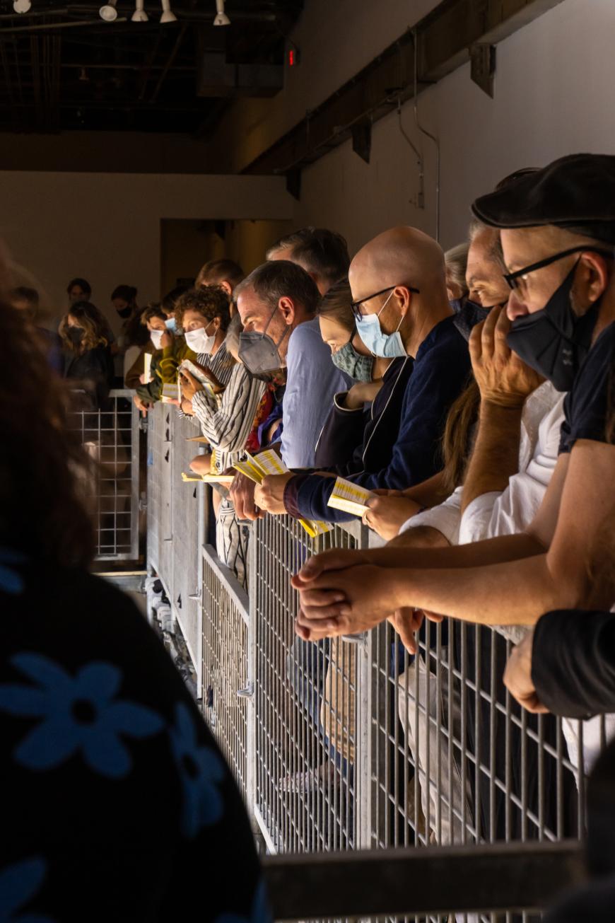 The audience for Sun & Sea