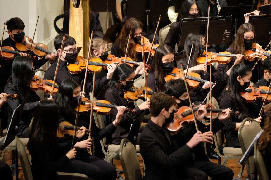 YPSO violins