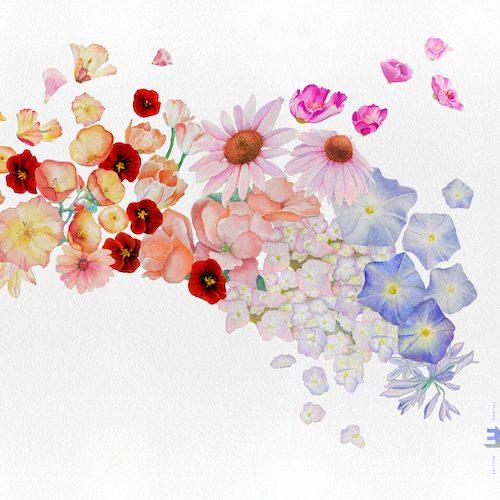 Gretchen Parlato - "Flor"