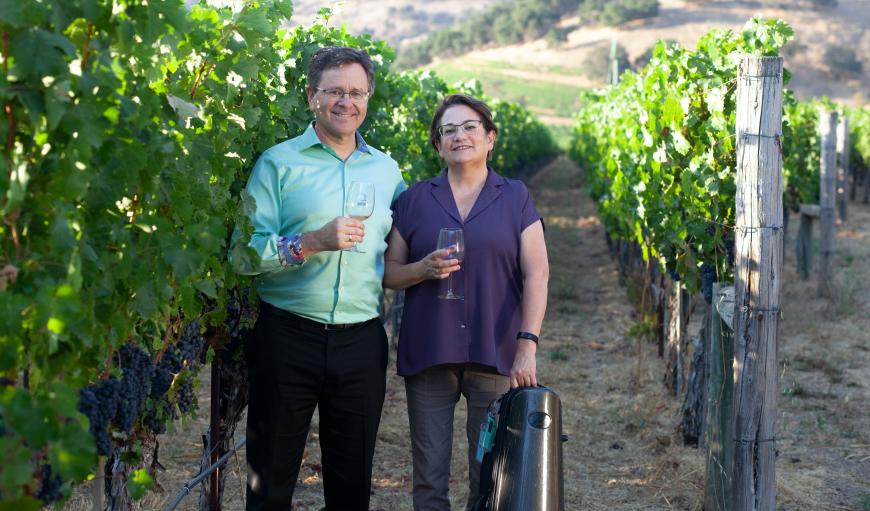 Music in the Vineyards