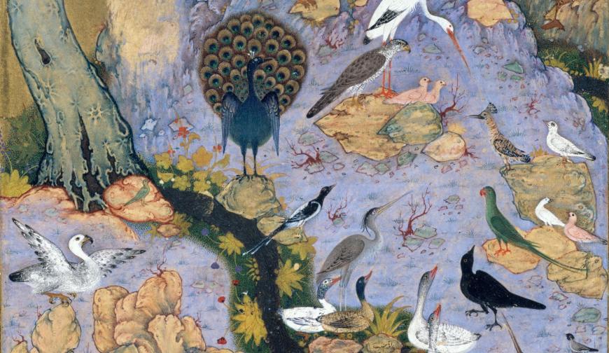 The Conference of the Birds