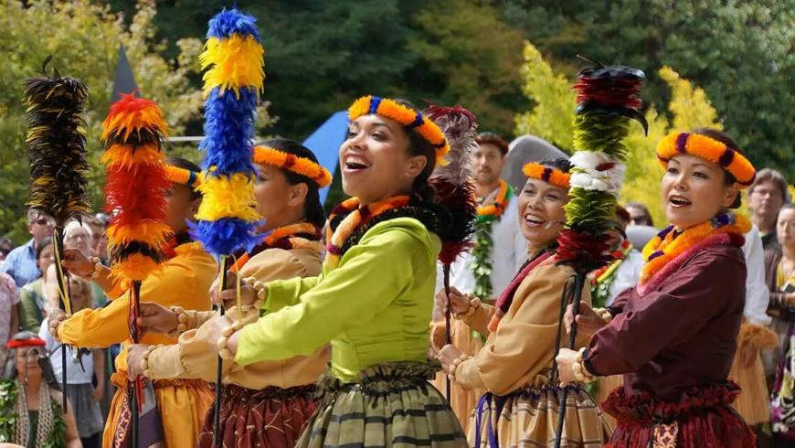 Hula dancers