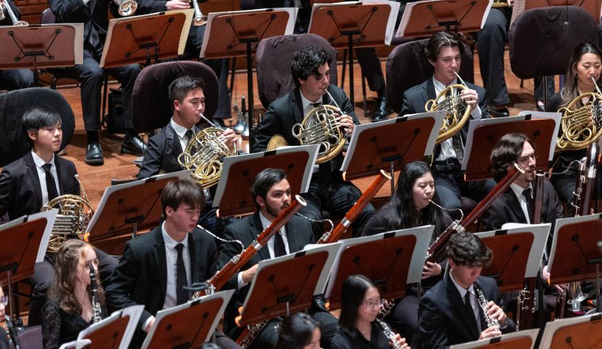Brass and woodwind sections