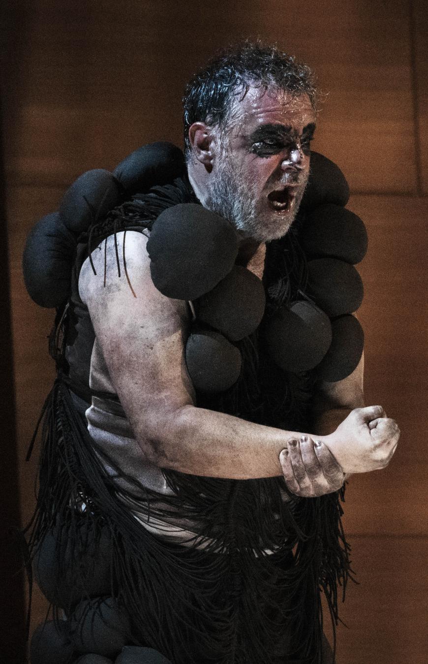 Jochen Schmeckenbecher as Alberich