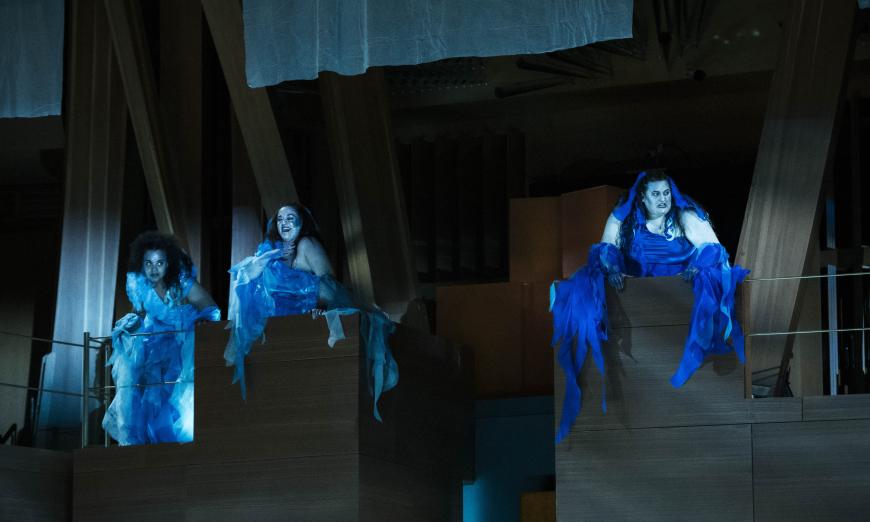 Rhinemaidens